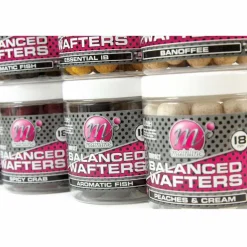 Bouillettes équilibrées carpe mainline high impact balanced wafters salty squid