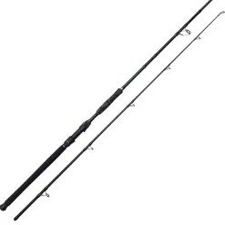 Canne bouée silure madcat black deluxe 2.95m 100-250g