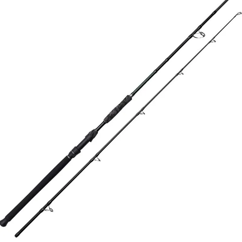 Canne bouée silure madcat black deluxe 2.95m 100-250g
