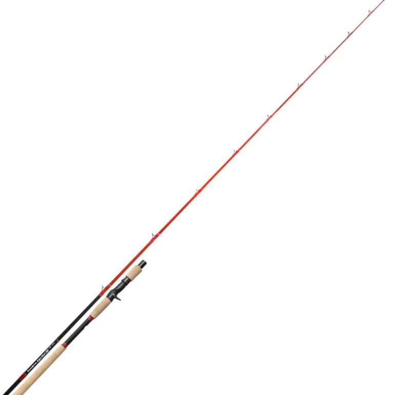 Canne casting carnassier tenryu injection bc 85 xxh 2,59m 120-350g