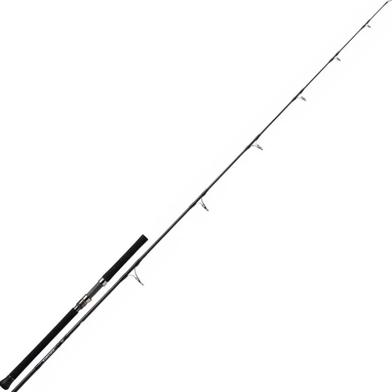 Canne Casting Daiwa Saltiga 2.52m max 60g