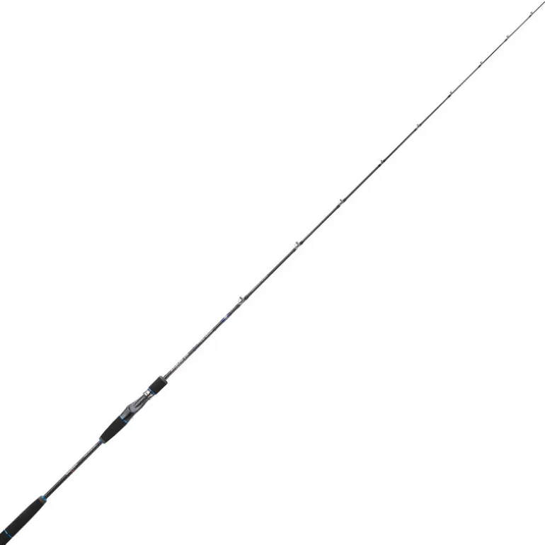 Canne Casting SAKURA Ryokan SW 6'4 1m93 90-200g