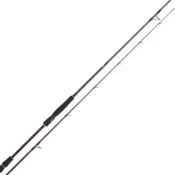 Canne Daiwa Infeet Seabass 2.29m