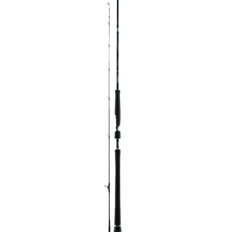Canne Favorite SX10 Offshore 40-120g