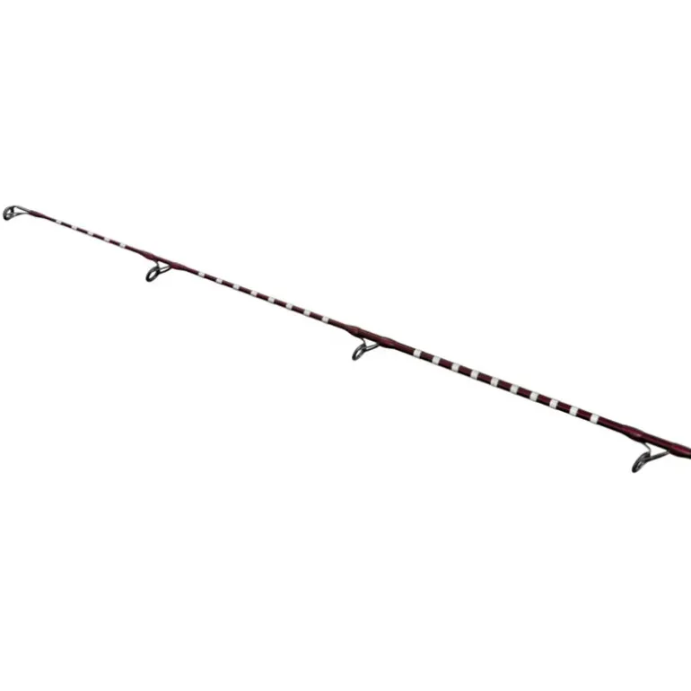 Canne Shimano Power Surf H 425 AX L 4.25m 250g