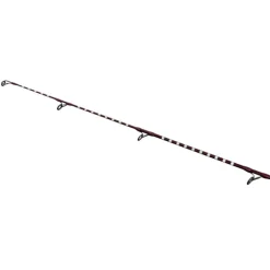 Canne Shimano Power Surf T 450 AX 4.50m  250g