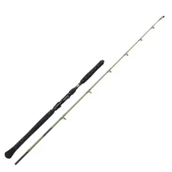 Canne silure Madcat Green Close Combat 1.70m 50-125g