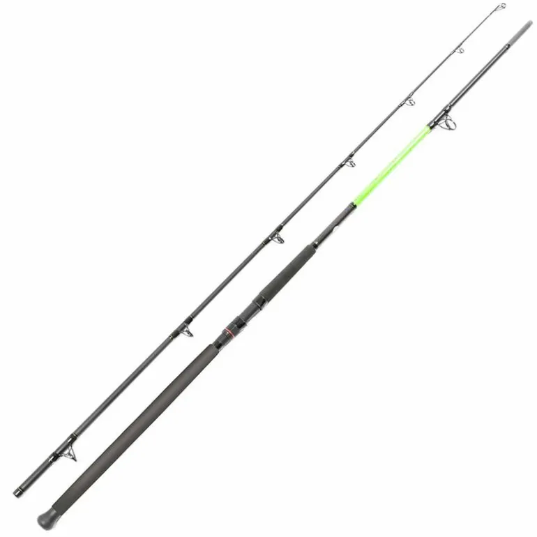 Canne silure overfight ipercut battle 3m 200gr/400gr