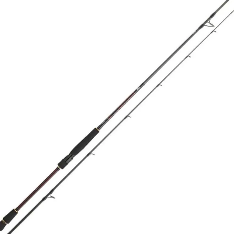 Canne Spinning Daiwa Infeet Seabass 2m21