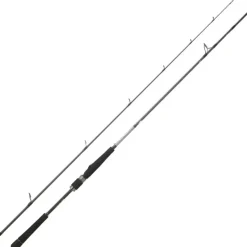 Canne Spinning DAIWA Saltist Seabass 2m44 7-28g