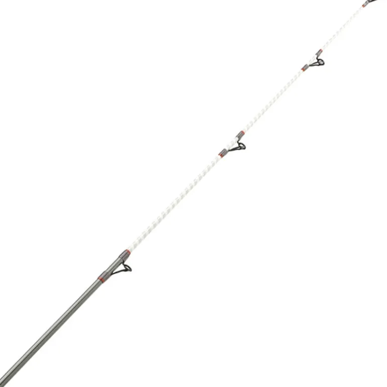Canne Surfcasting DAIWA Shorecast Surf X 2024 4m20 100-200g