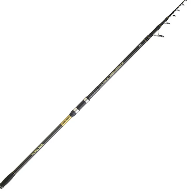 Canne Surfcasting Télescopique DAIWA Powermesh Surf 24 4m20 100-250g