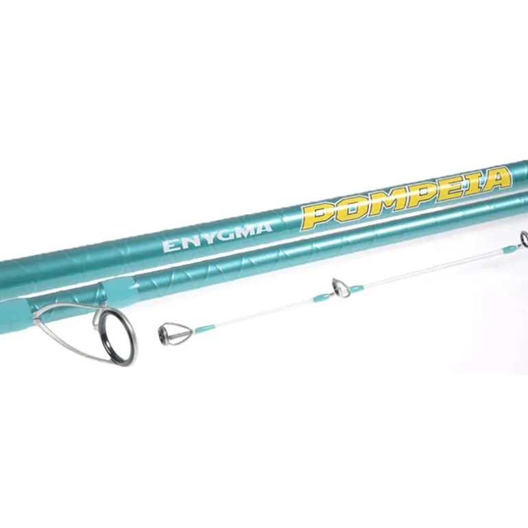 Canne Surfcasting Vercelli Enygma Pompeia 4.50m