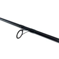 Canne Team CarpFishing Process 10' 3lbs