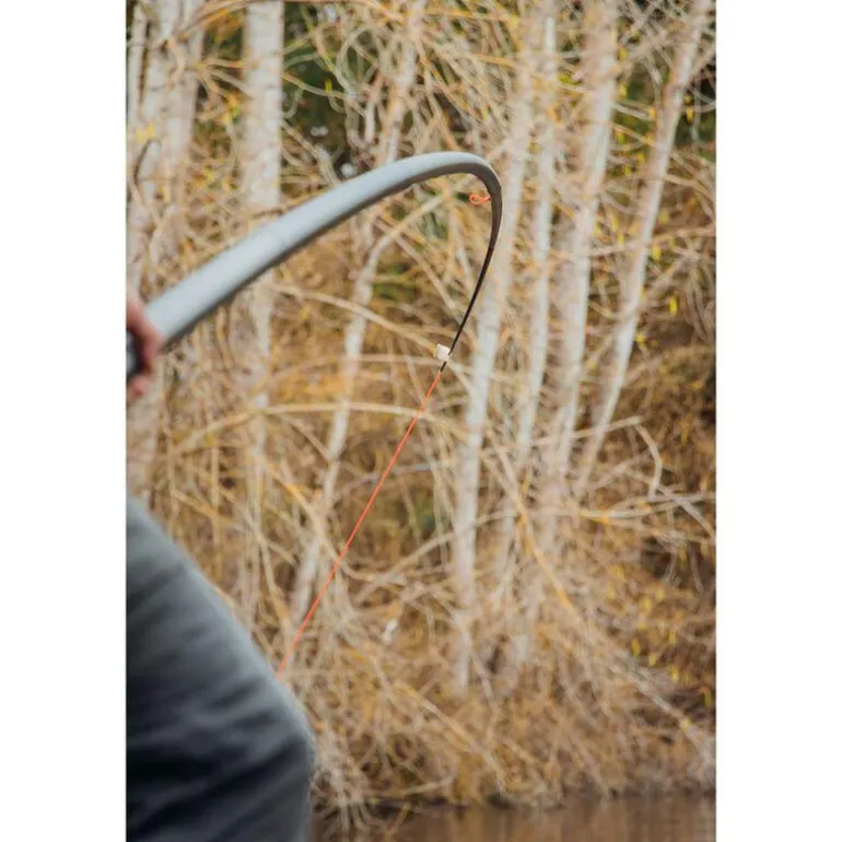 Canne Teos Majesty Carp 1150