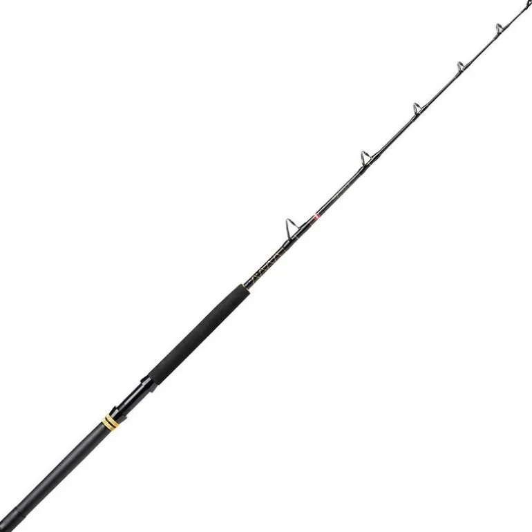 Canne Traine Penn Squall II 50-100lb 5FT6