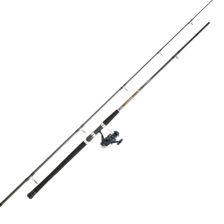 Combo Daiwa SW CF 262 CF + PH 5000 BU