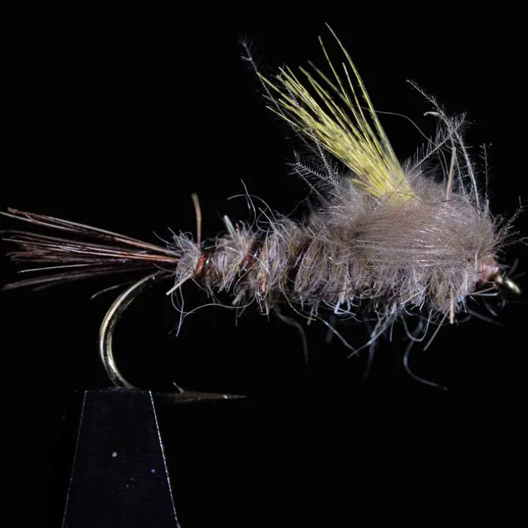 Emergente mouche de mai JMC Mai 9 H10 (x3)