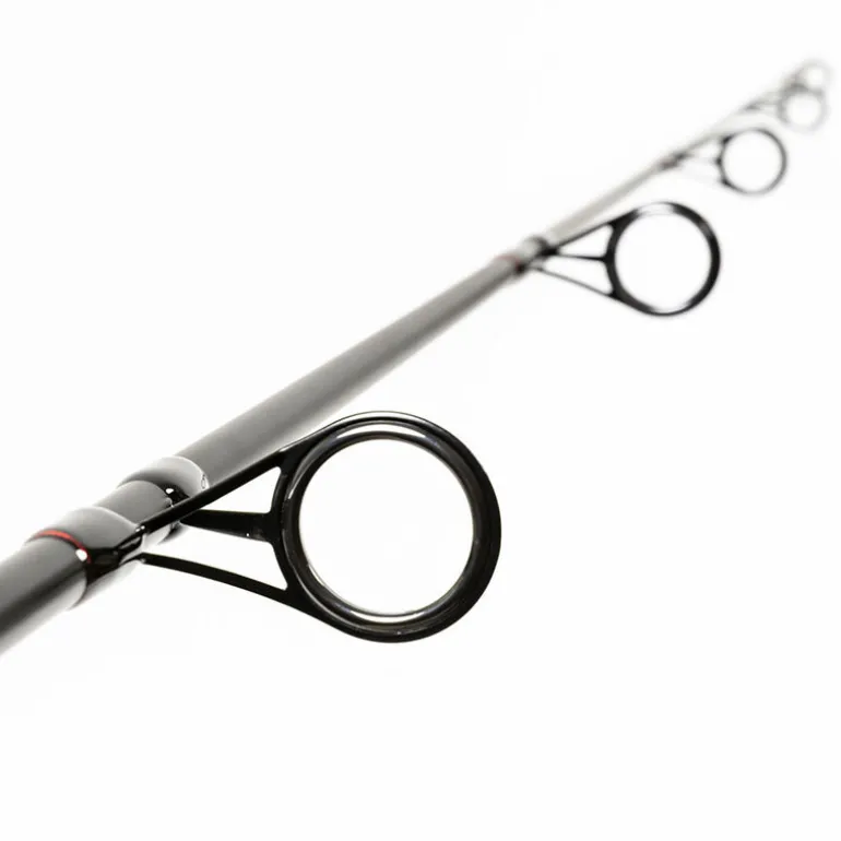 Ensemble carpe 10' 3lbs dark water canne + moulinet team carpfishing