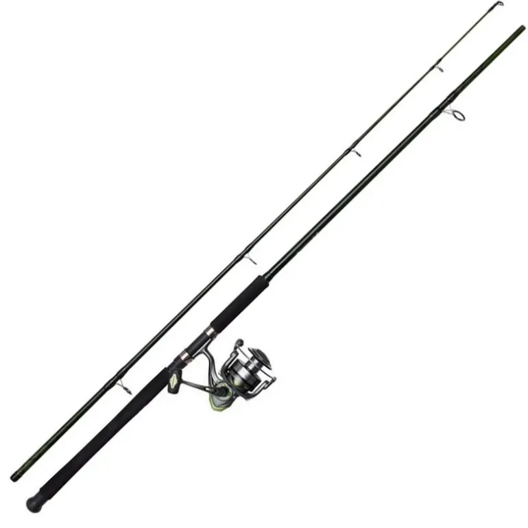 Ensemble DAM Full Cat XP Combo Heavy-D 2m40 150-250g