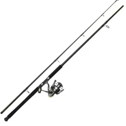 Ensemble DAM Full Cat XP Combo 2m10 40-150g