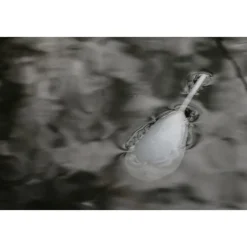 Flotteur stalking korda interceptor float