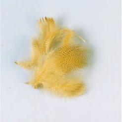 Fly tying plume flanc de canard été jmc
