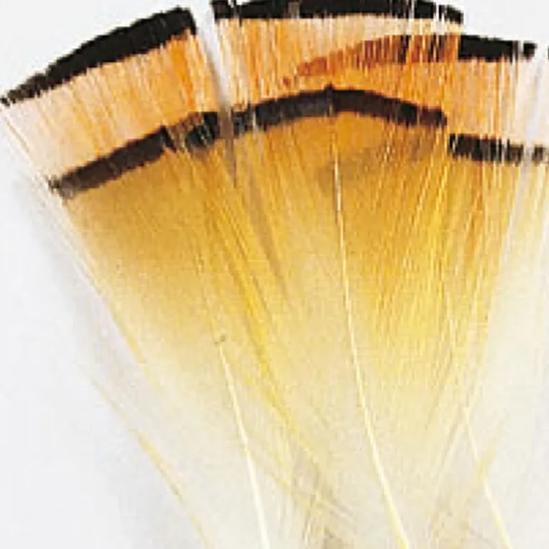 Fly tying plumes colerette faisan doré jmc