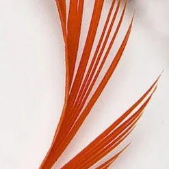 Fly tying plumes goose biot jmc