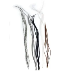 Fly tying plumes jmc lancettes top grade (6 plumes)