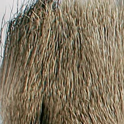 Fly tying poils de cerf jmc