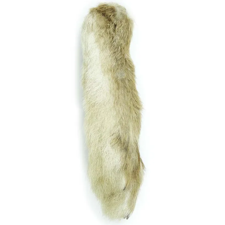 Fly tying poils mdc snow lièvre
