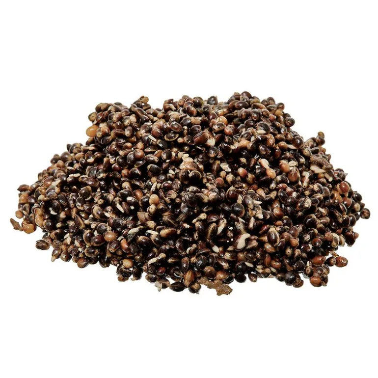 Graines Cuites Starbaits Ready Seed SK30 Hemp