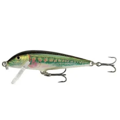 Leurre Dur Jerkbait Rapala Countdown 03 3cm 4g