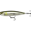 Leurre Dur Stickbait Rapala Precision Xtreme Pencil 10.7cm, 21g