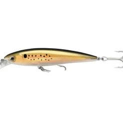 Leurre poisson nageur rapala x-rap saltwater 10cm 13g