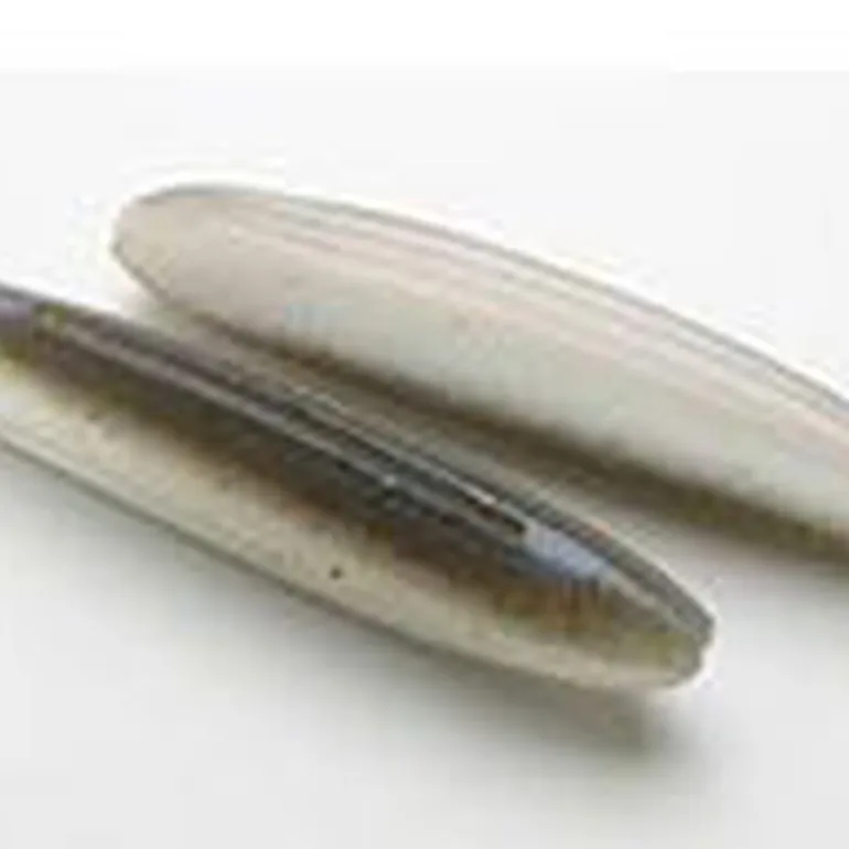 Leurre Souple Finess Keitech Shad Impact 10cm (x8)