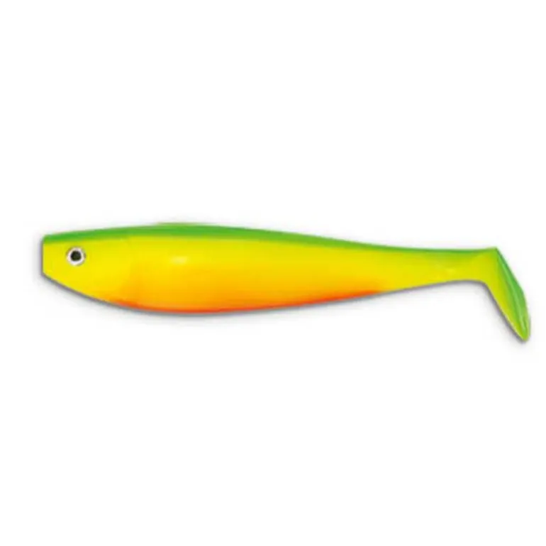 Leurre Souple Shad Delalande Shad GT 15cm (x2)