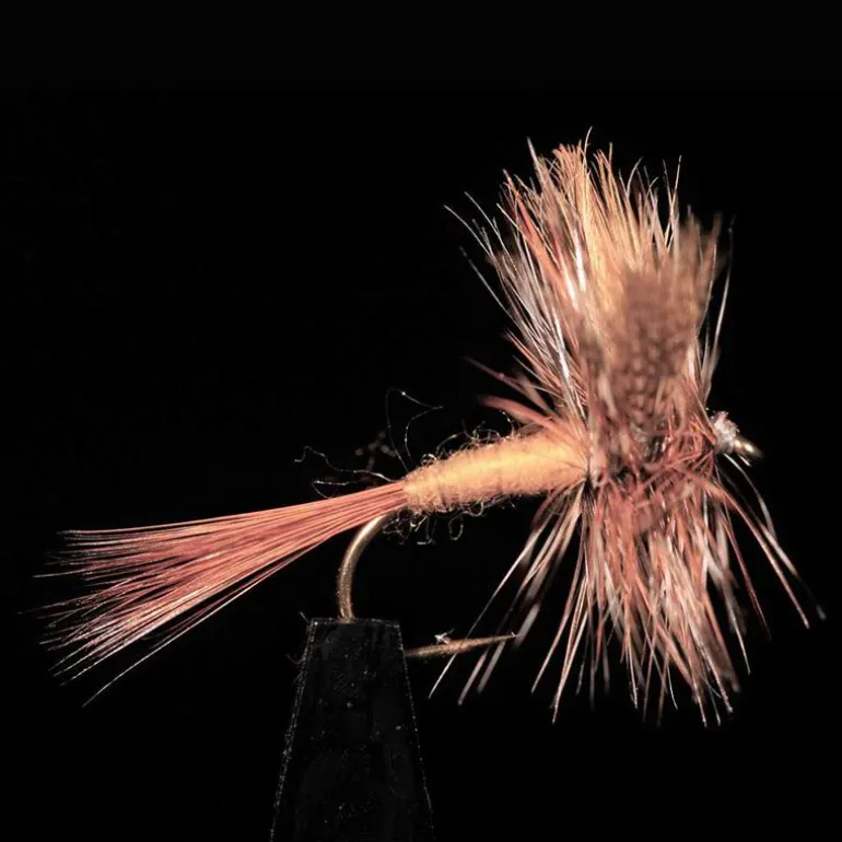 March Brown JMC 14 H12 (x3)