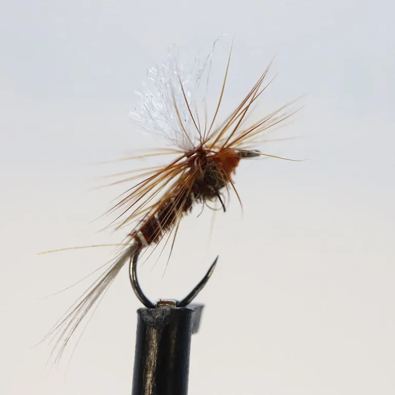 Mouche sèche Silverstone parachute Faisan H14 (x3)