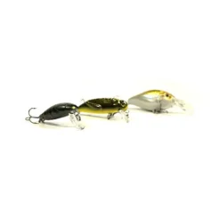 Pack Eco Petit Carnassier V2