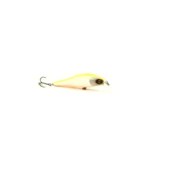 Pack Eco Spinning Perche