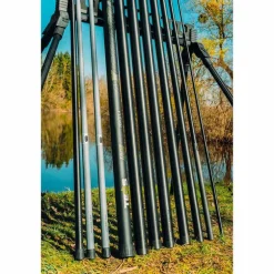 Pack Teos Axiome Pro Carp 13M