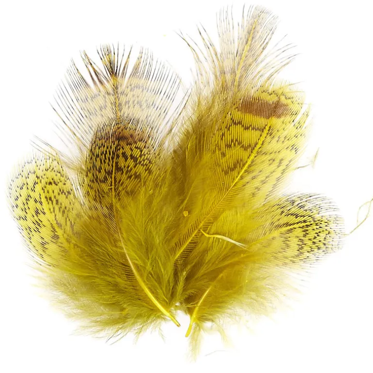Plumes montage mouche jmc perdrix grise (jaune)