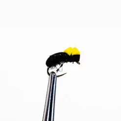 Scarabées H14 (x3)
