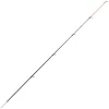 Scion Rive Magic Wand Carbone 0,75 oz
